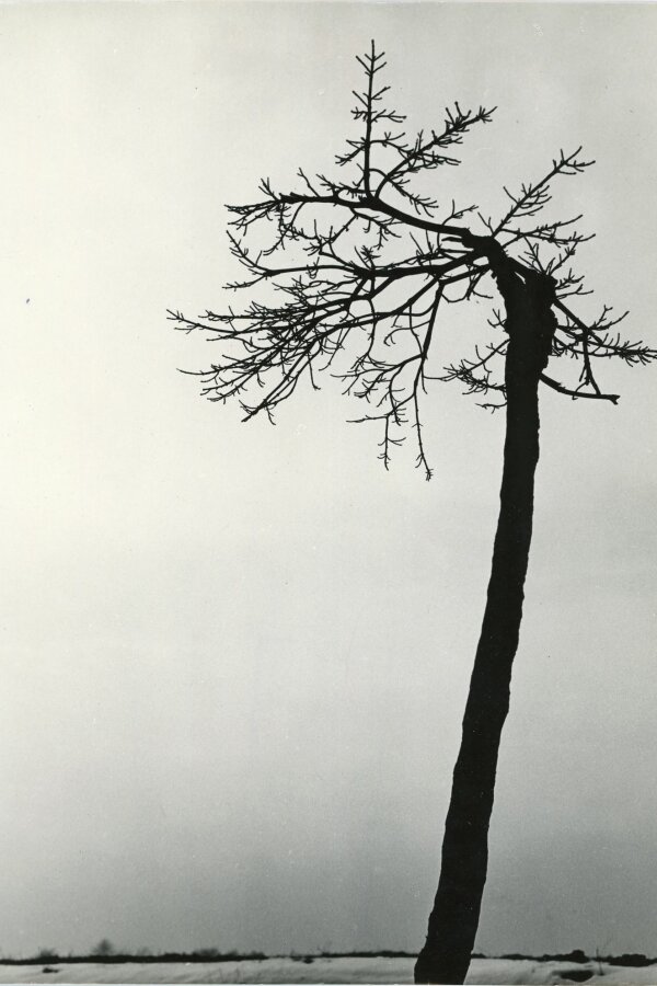 Jiří Bartoš, Fotografie